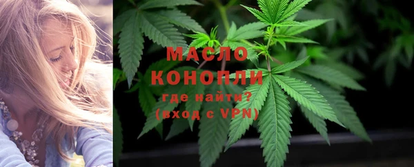 индика Ростов