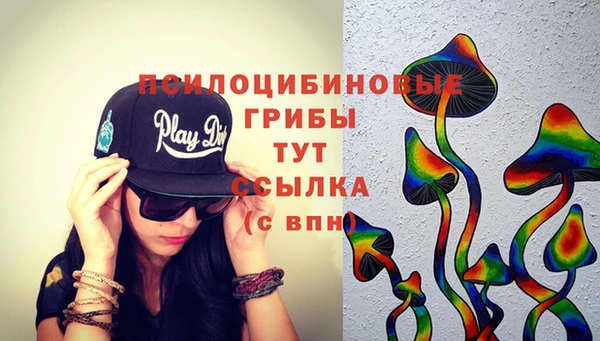 трава Горнозаводск
