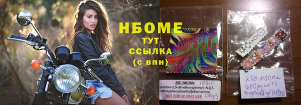 spice Горняк