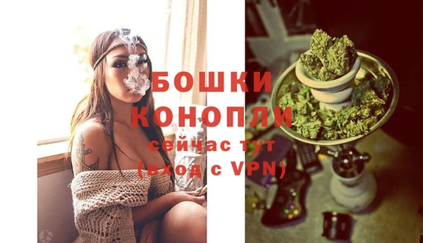 spice Горняк