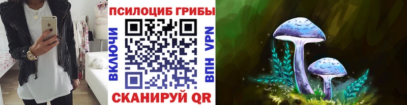 Галлюциногенные грибы мухоморы  Мурманск 